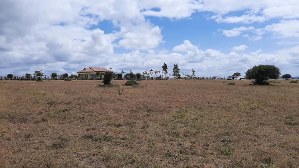 KONZA