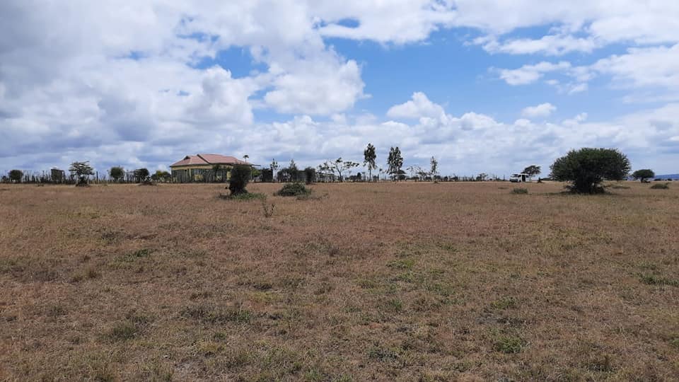 KONZA