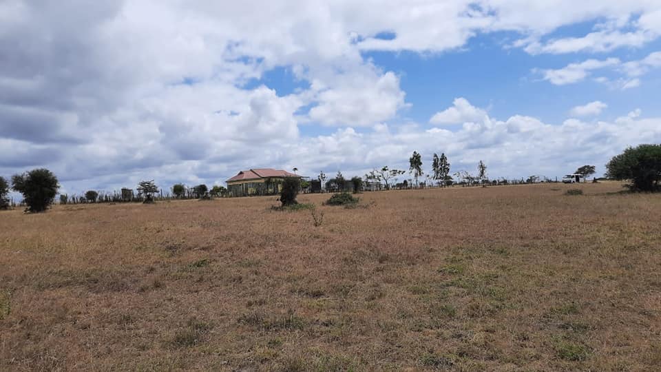KONZA