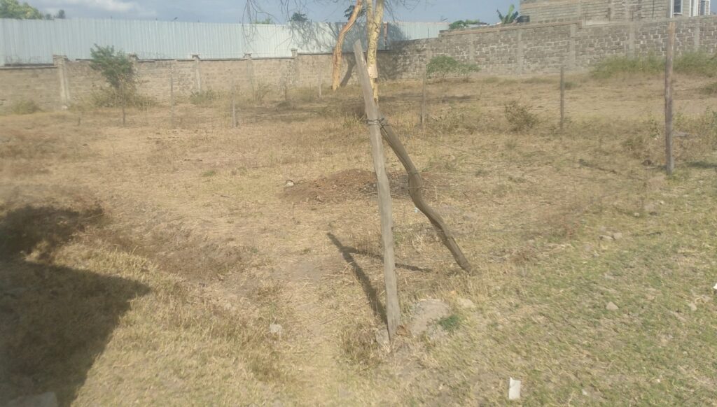 Gimu, Athi River