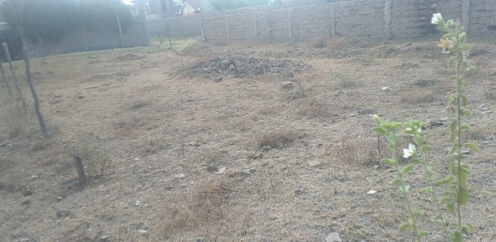 Gimu, Athi River