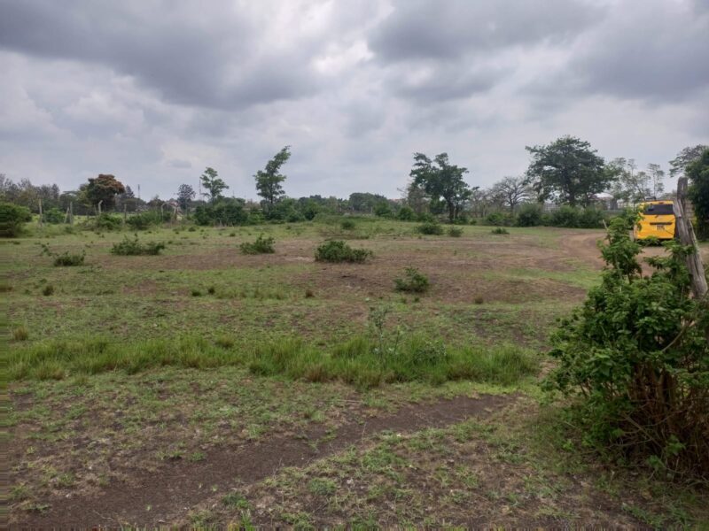 JUJA KALIMONI PROPERTY