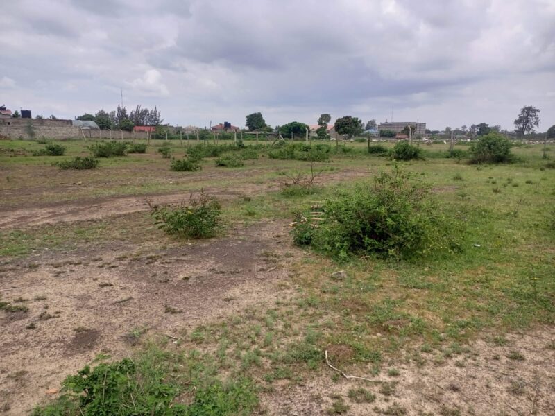 JUJA KALIMONI PROPERTY