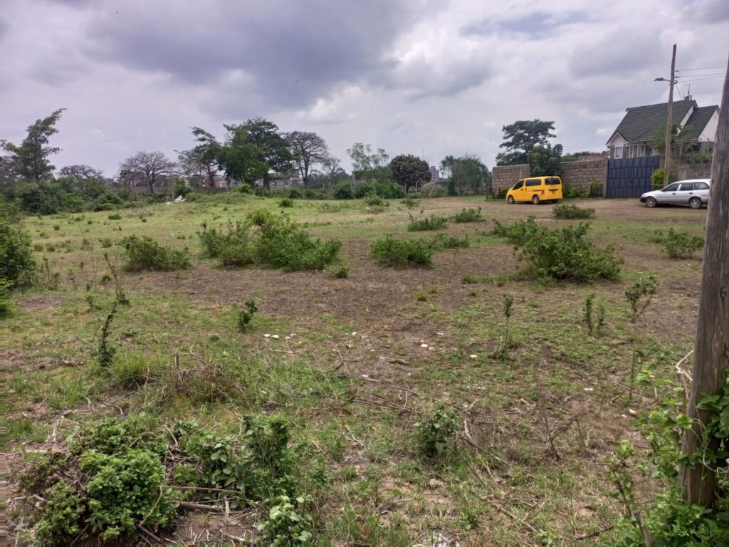JUJA KALIMONI PROPERTY