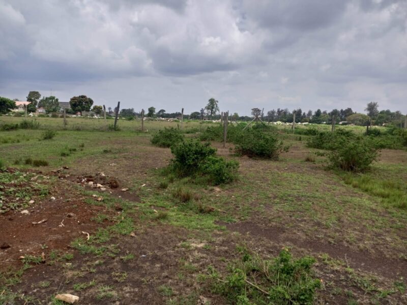 JUJA KALIMONI PROPERTY